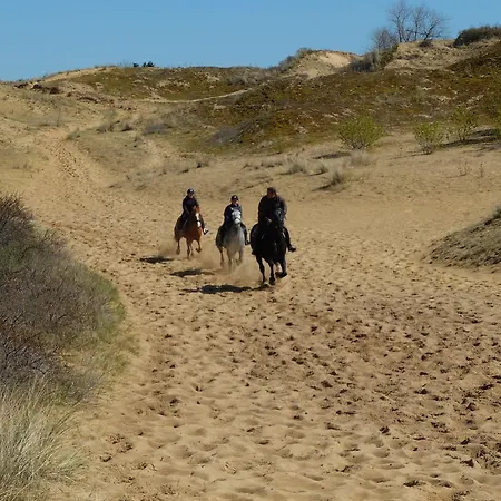 Dunepark Hébergement de vacances
